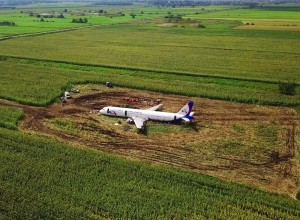 Посадка самолёта на кукурузном поле или чудо на кукурузном поле. Комментарии иностранцев (видео)