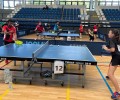 Теннисисты из Приднестровья уже в Венгрии на спортивных сборах